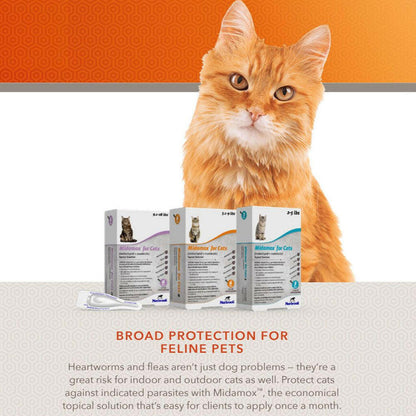 Midamox for Cats, 2-5 lbs