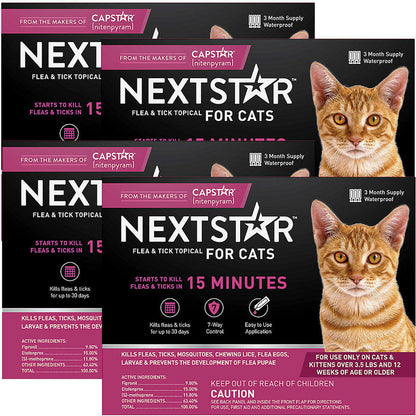 nextstar stock