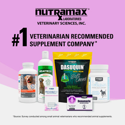 Nutramax Denosyl Liver and Brain Health Supplement for Small Dogs and Cats With S-Adenosylmethionine (SAMe) - Dog