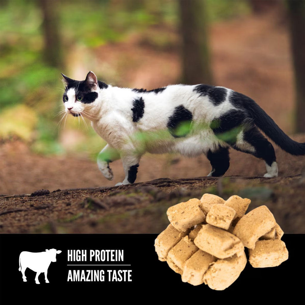 ORIJEN Regional Red Grain-Free High-Protein Raw Animal Ingredients Freeze Dried Cat Treats, 1.25-oz bag
