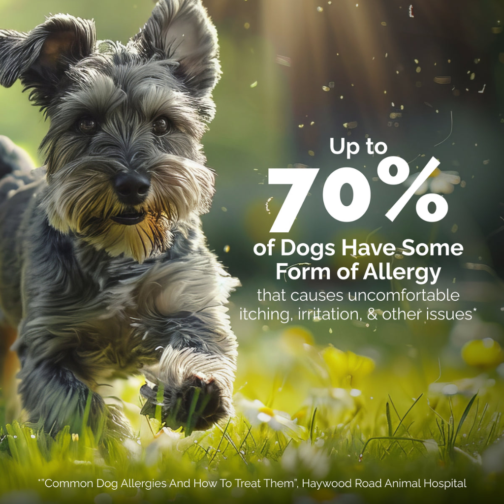 Oticbliss Advanced Vet Strength Medicated Ear Drops for Dogs & Cats 1.8 oz - Ear & Eye Care 7