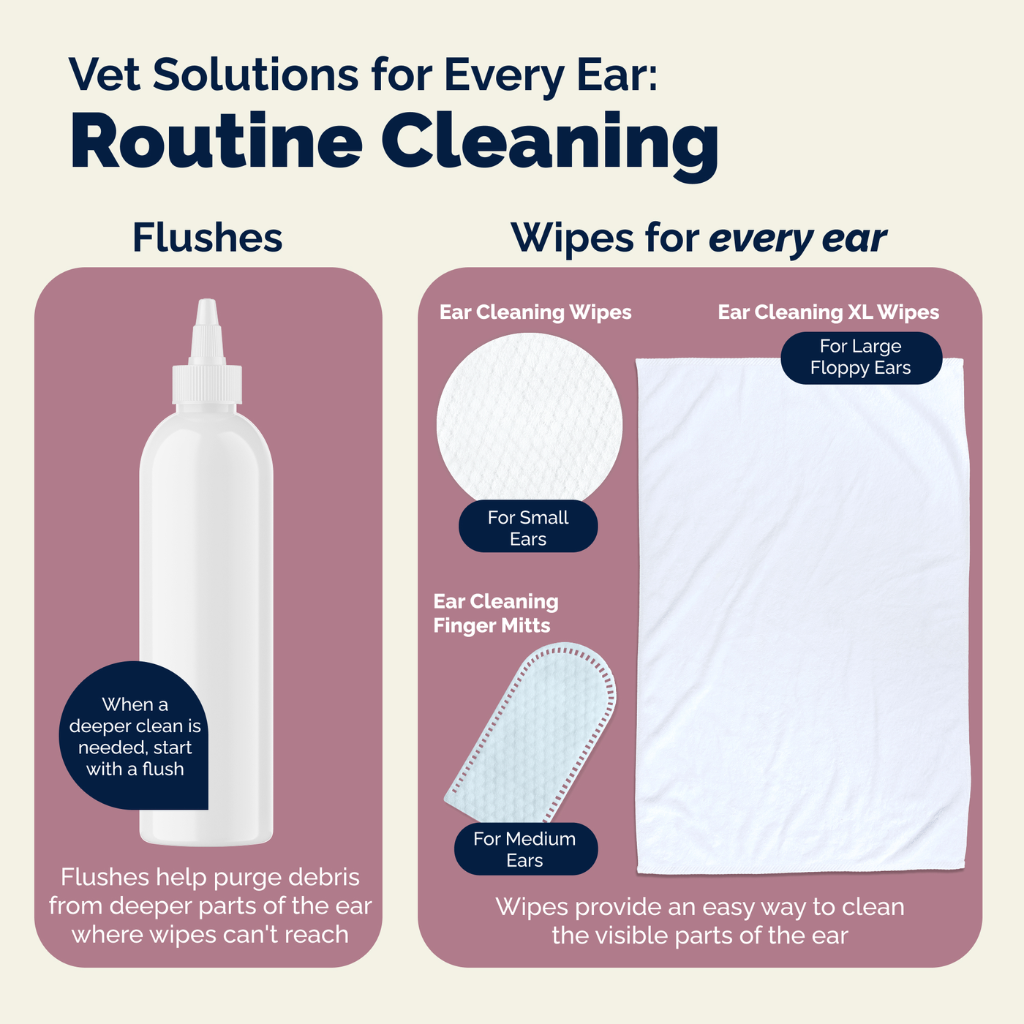 cleaning tips