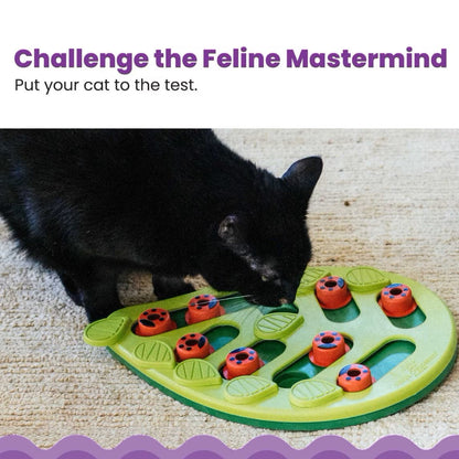 Outward Hound Nina Ottosson Buggin' Out Puzzle & Play Interactive Treat Puzzle For Cat