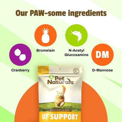 Pet Naturals UT Support Chews for Cats (60 count)