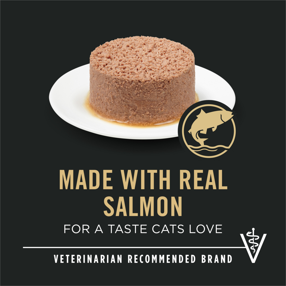 Purina Pro Plan Focus Urinary Tract Health Salmon Recipe Canned Cat Food