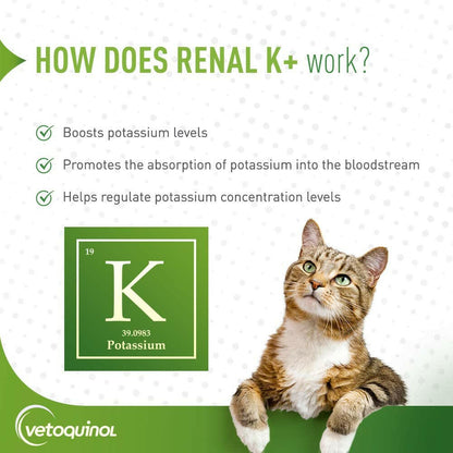 Renal K+ Powder Kidney Supplement for Cats & Dogs (100g)