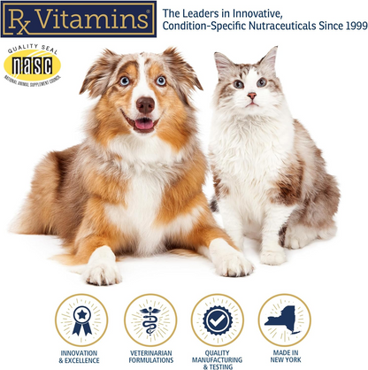 Rx Zyme Digestive Enzyme Powder (4.2 oz) - Dog Supplements & Vitamins 7