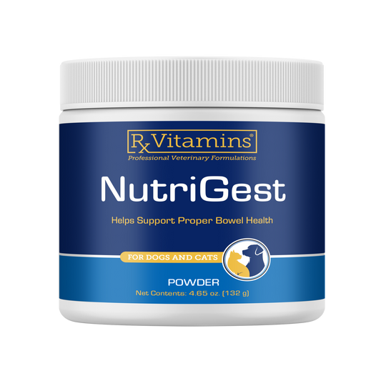 Rx Vitamins Nutrigest Powder Bowel Health Supplement For Dogs & Cats (132 g) - Dog & Cat Supplements & Vitamins 1