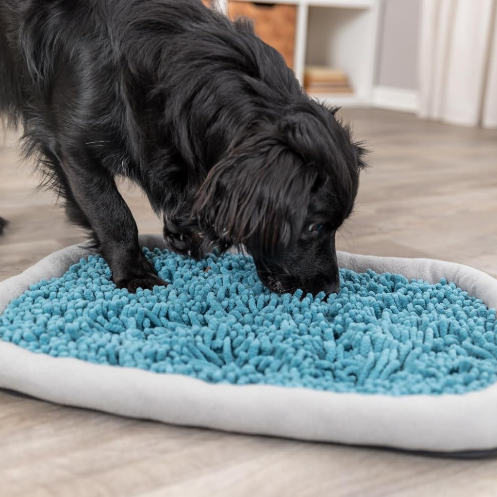 Trixie Dog & Cat Activity Snuffle Plate - Cat Toys 3