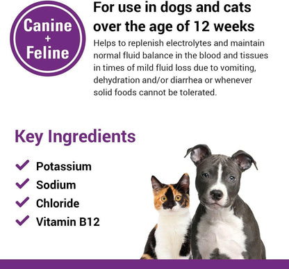 Vet Classics Pet-A-Lyte Oral Electrolyte Solution for Dogs & Cats (32 oz) - 4