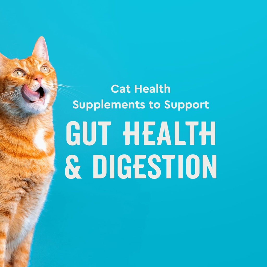 Vet IQ Probiotic Treats for Cats (30 Day Supply) - Dog Treats 2