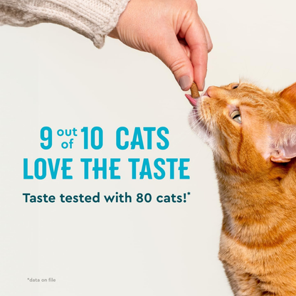 Vet IQ Probiotic Treats for Cats (30 Day Supply) - Dog Treats 4