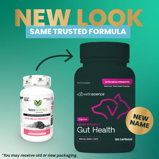 Extra Strength Gut Health Capsules for Dogs