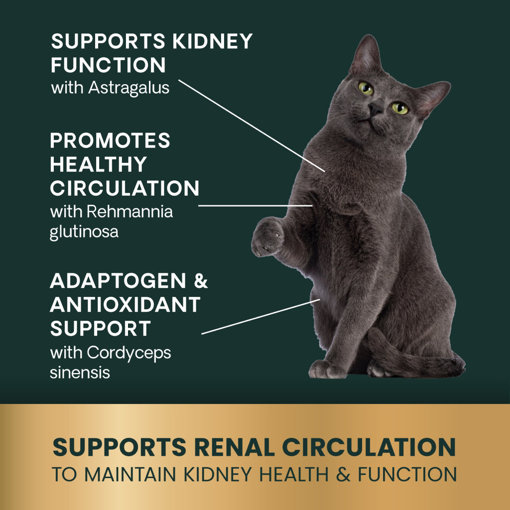 VetriScience Renal Essentials Kidney Supplement for Cats (60 chewable tablets)