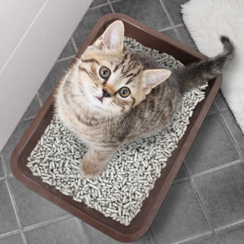 World’s Best Cat Litter Breeder Celect 14 lbs - Cat Litter & Waste Disposal 3