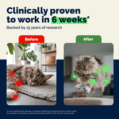 YuMOVE Joint Care for Senior Cats 60 ct - Cat Joint & Hip Supplements 5