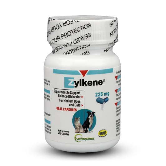 Zylkene Plus Long-Term Calming Support